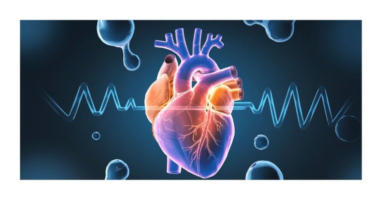 Thiamine and Heart Health: The Role of Vitamin B1 in Cardiovascular Wellness